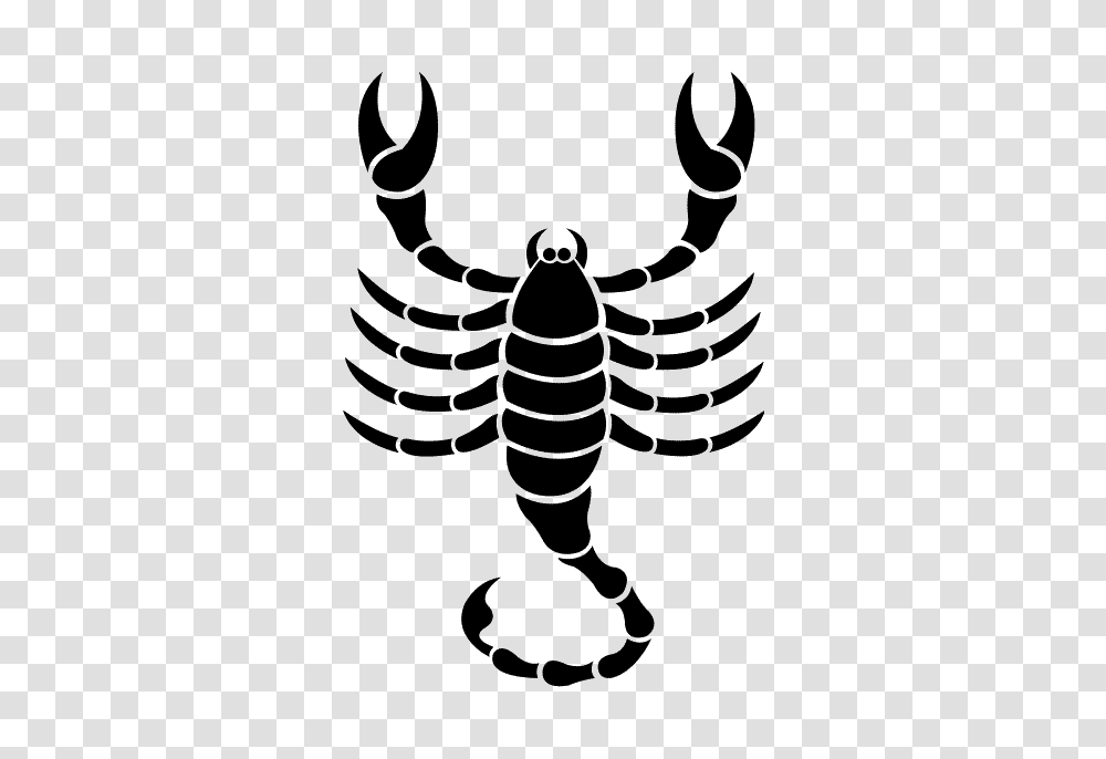 Scorpio, Zodiac, Animal, Invertebrate, Insect Transparent Png