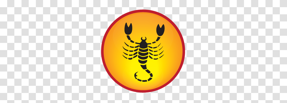 Scorpio, Zodiac, Animal, Wasp, Bee Transparent Png