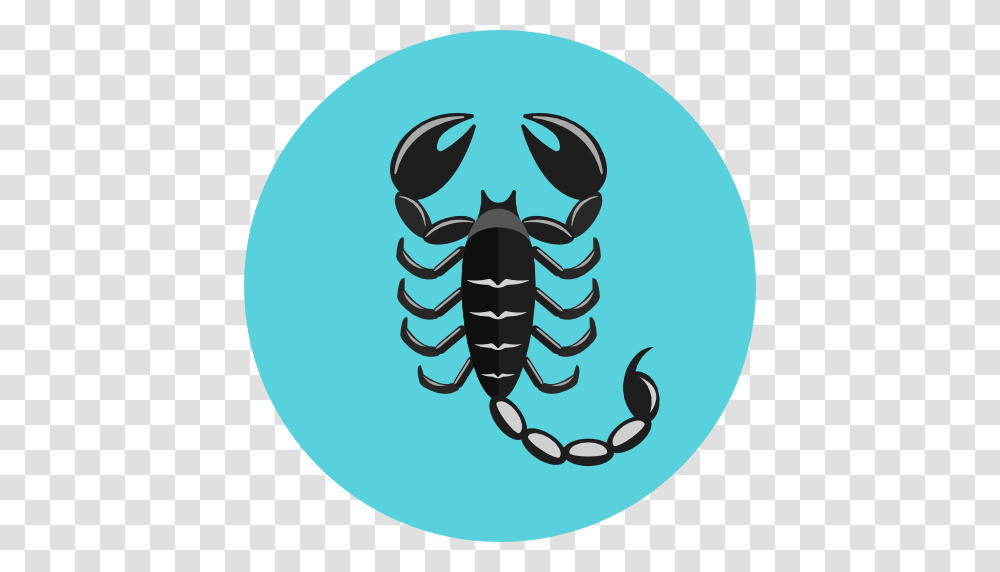 Scorpio, Zodiac, Crawdad, Seafood, Sea Life Transparent Png