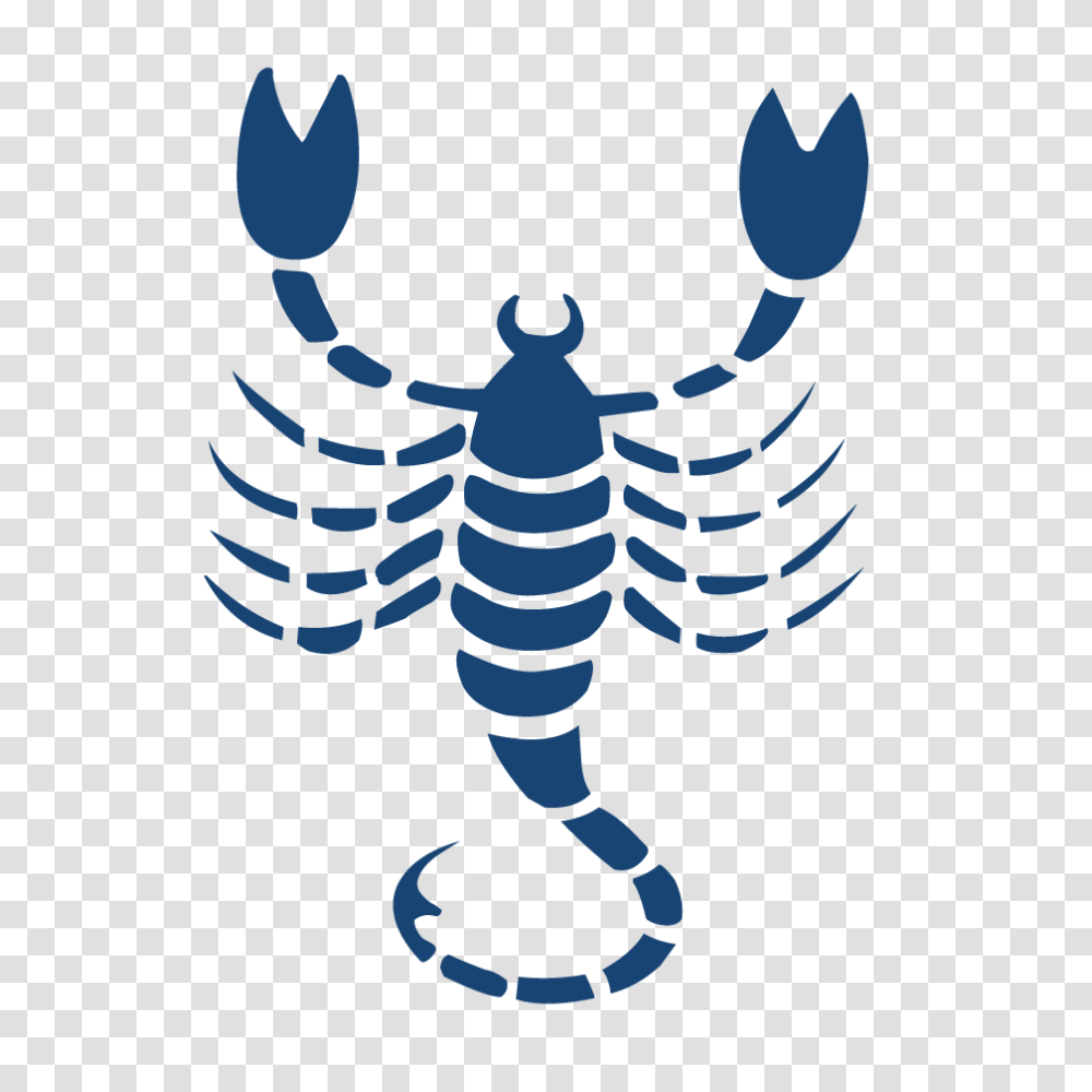 Scorpio, Zodiac, Invertebrate, Animal, Scorpion Transparent Png