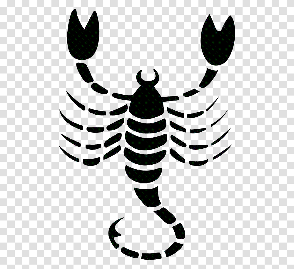 Scorpio, Zodiac, Sea Life, Animal, Food Transparent Png