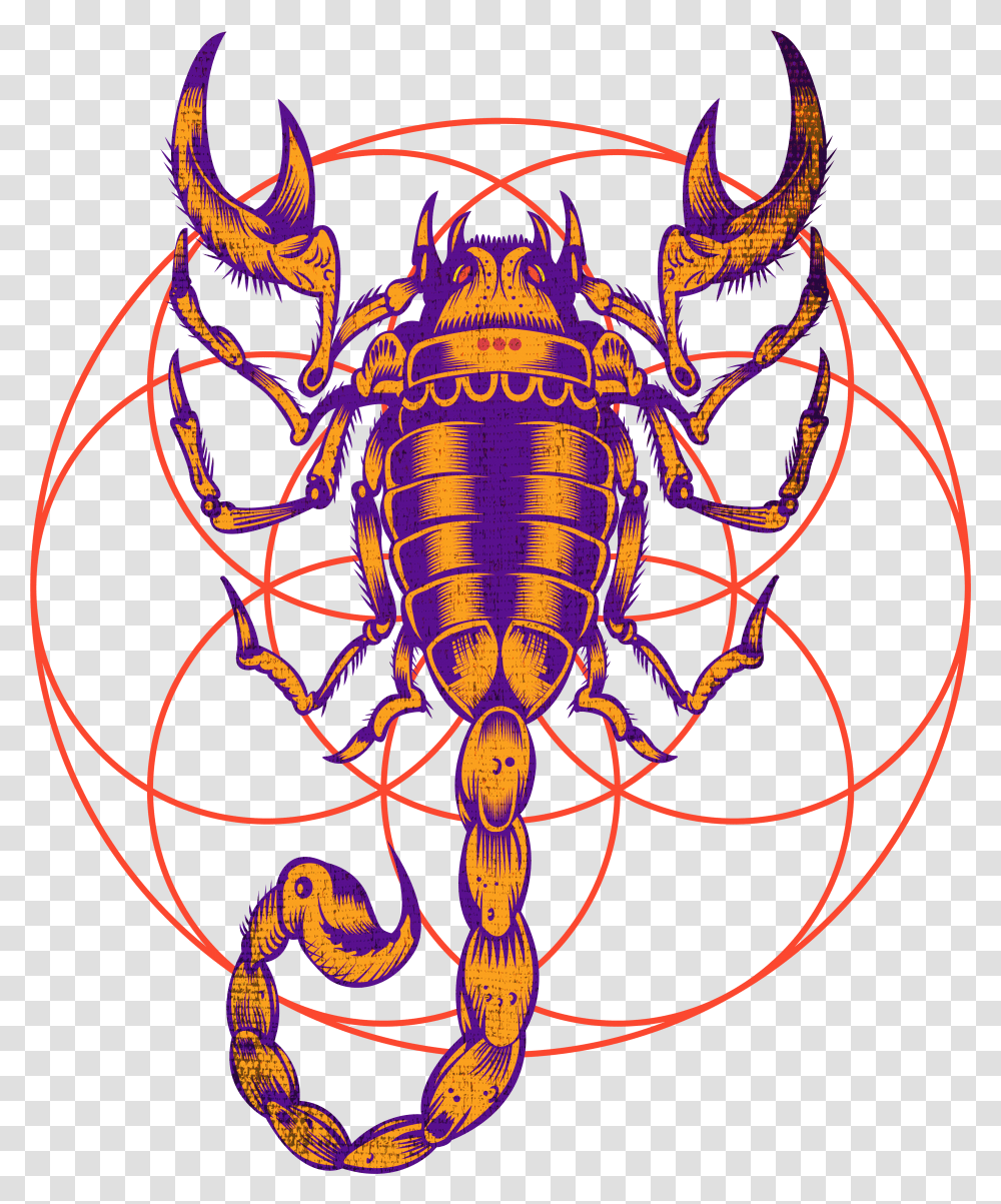 Scorpio Zodiac Sign Art Transparent Png