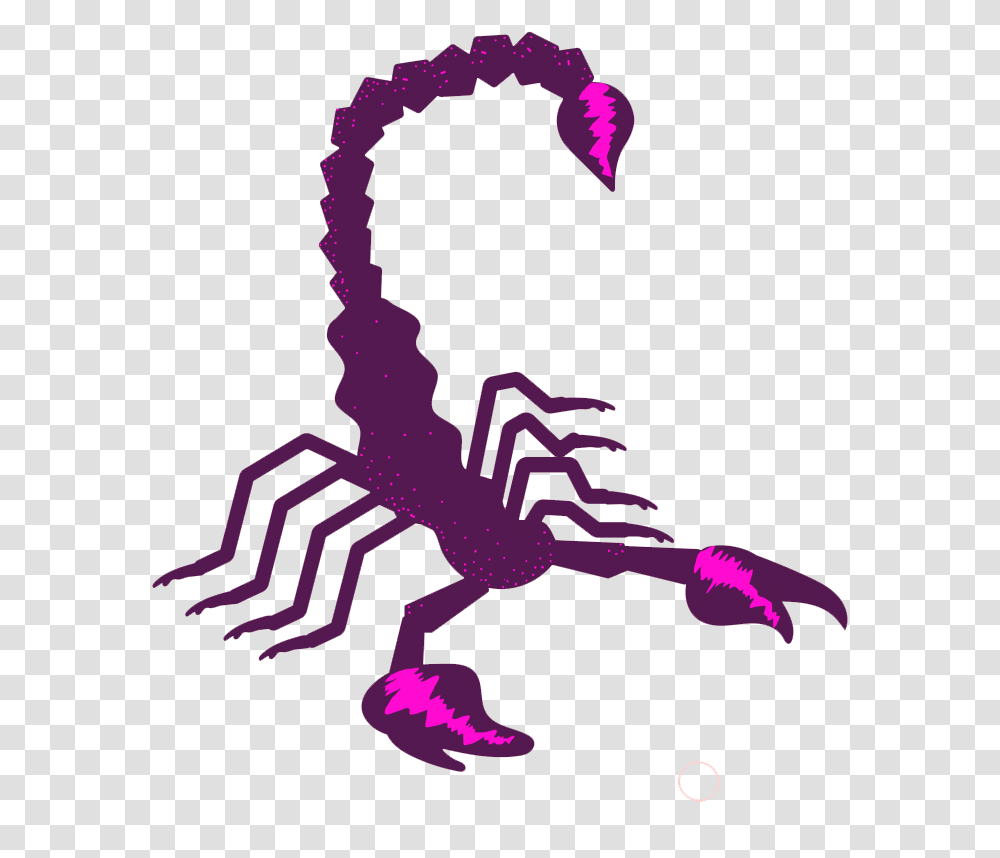 Scorpio Zodiac Symbol Photo For Designing Zodiac Sign Scorpio Background, Scorpion, Invertebrate, Animal Transparent Png