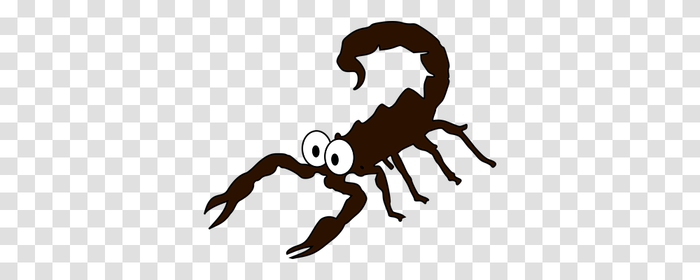Scorpion Animals, Invertebrate, Insect, Sea Life Transparent Png