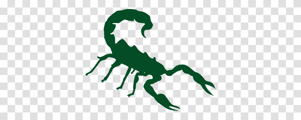 Scorpion Animals, Invertebrate Transparent Png