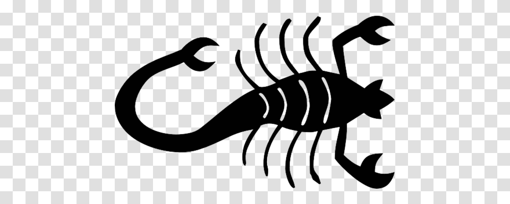Scorpion Nature, Label, Animal Transparent Png