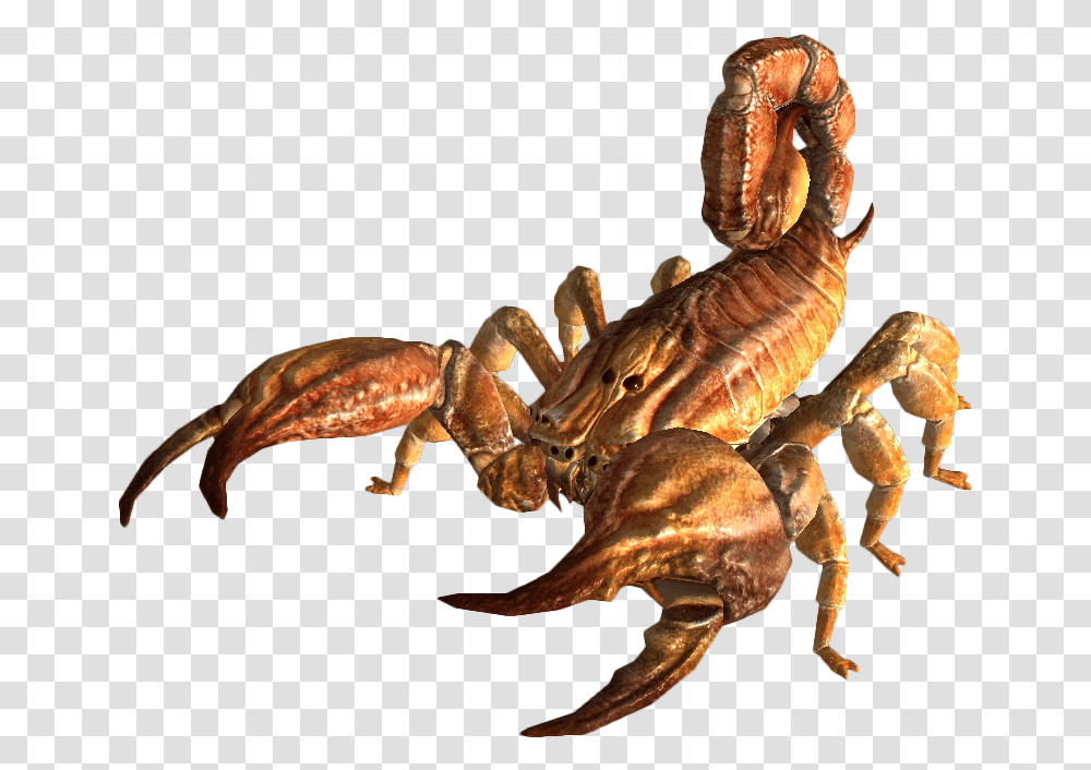 Scorpion Animal & Clipart Free Download Ywd Albino Radscorpion Fallout, Dinosaur, Invertebrate, Lobster, Seafood Transparent Png