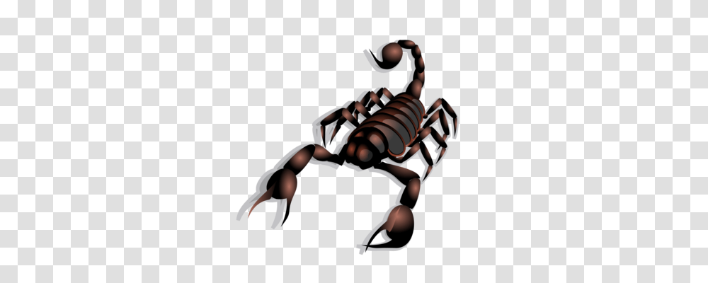 Scorpion Arachnid Venom Animal Computer Icons, Person, Human, Invertebrate Transparent Png