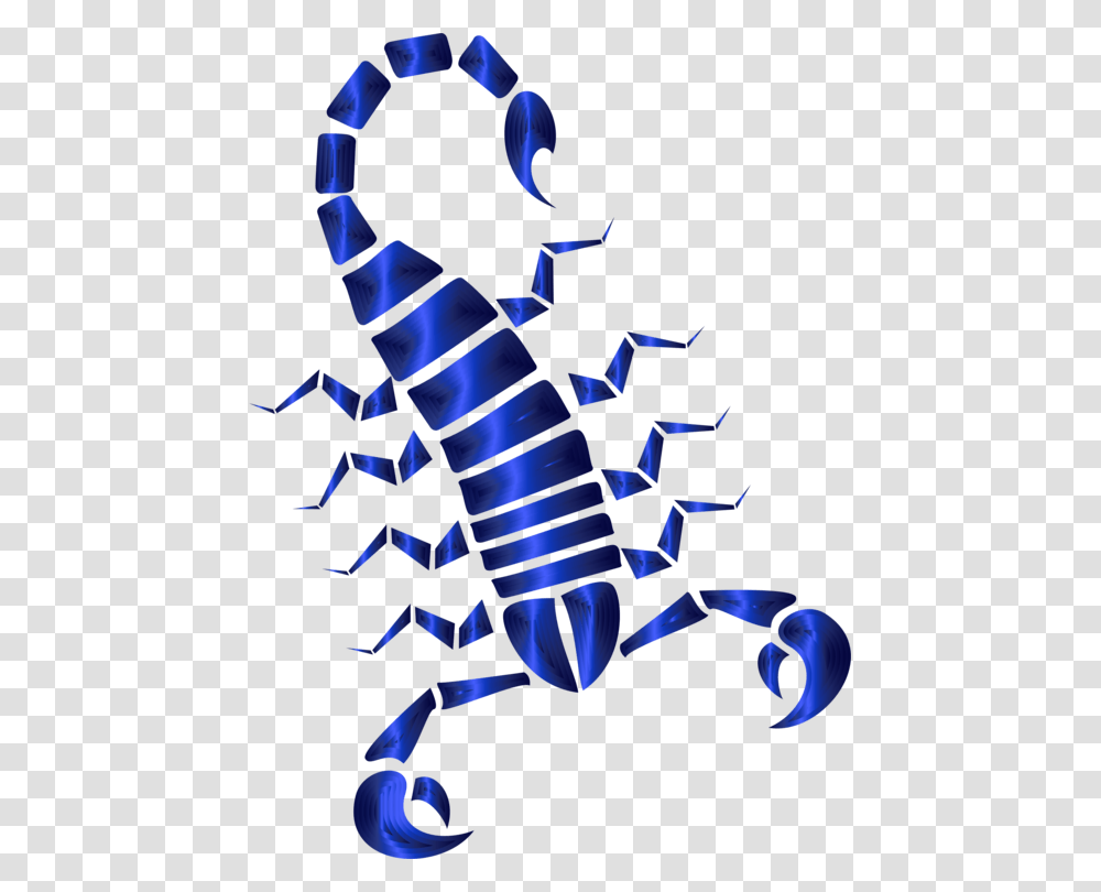 Scorpion Arachnid Venom Animal Computer Icons, Toy, Invertebrate, Sea Life, Food Transparent Png