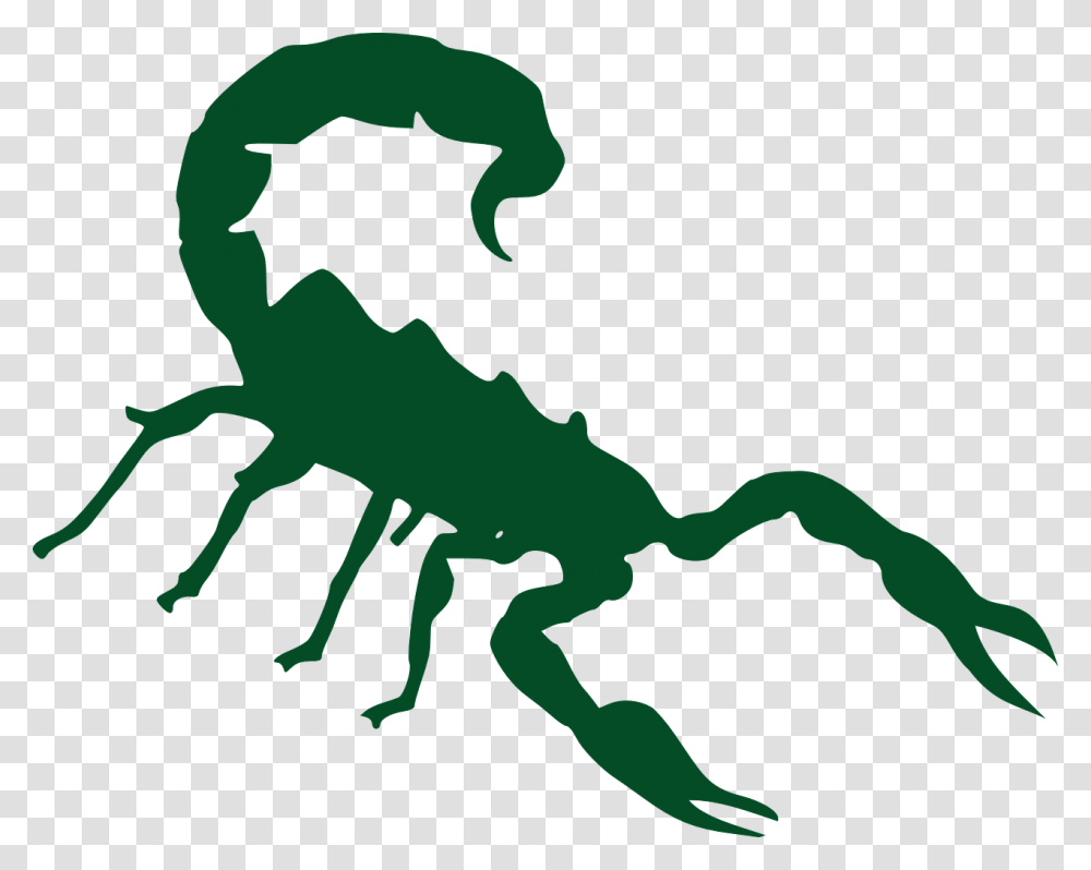 Scorpion Cartoon, Animal, Invertebrate Transparent Png