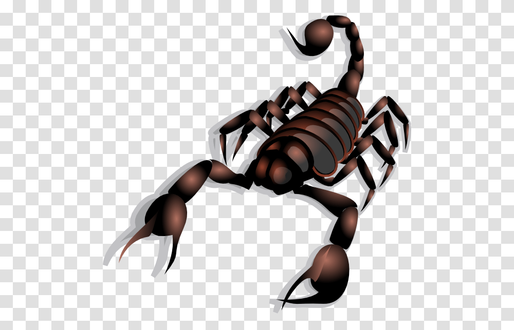 Scorpion Clip Art Free Vector, Invertebrate, Animal, Person, Human Transparent Png
