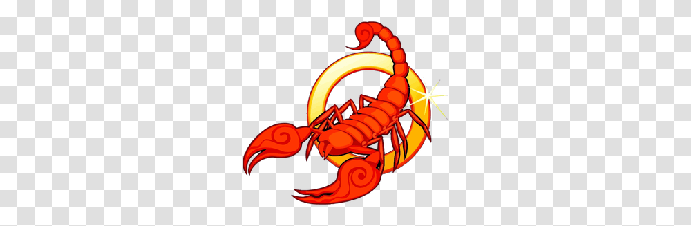 Scorpion Clipart Images, Dynamite, Bomb, Weapon, Weaponry Transparent Png
