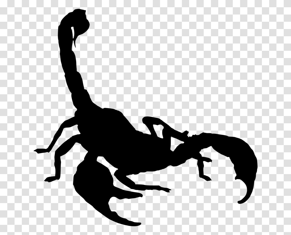 Scorpion Drawing Arachnid, Gray, World Of Warcraft Transparent Png