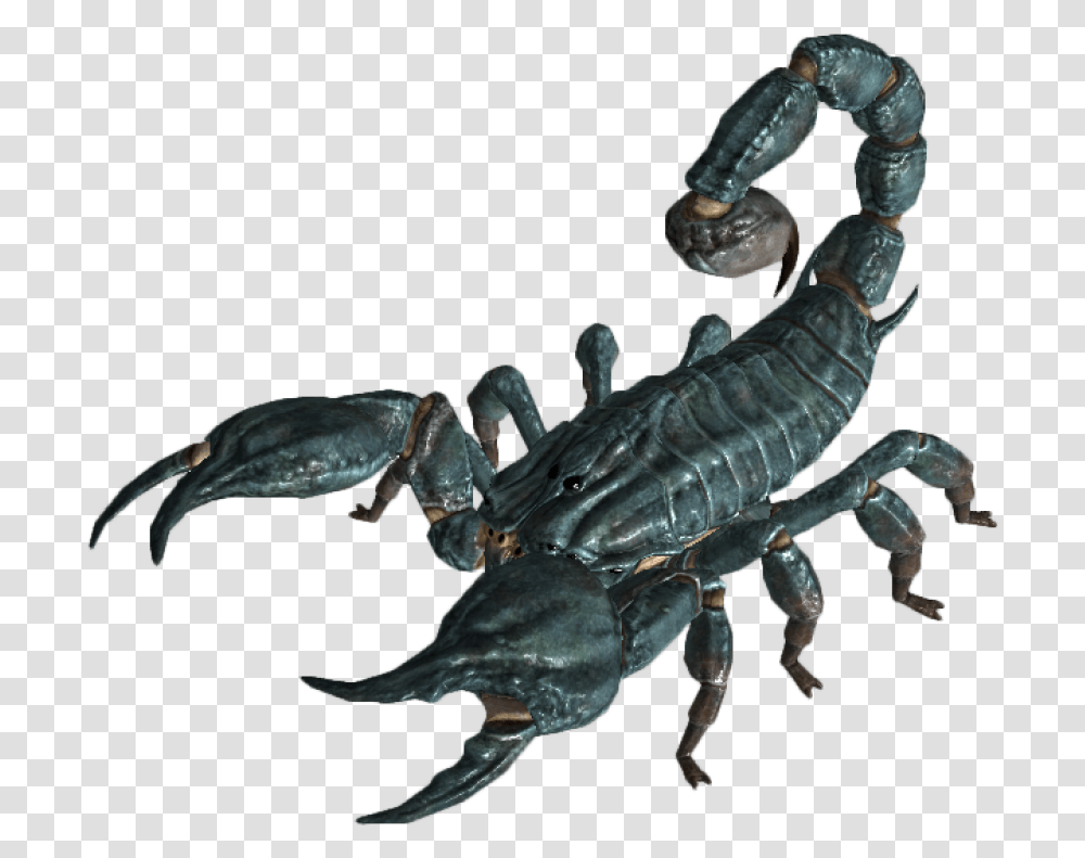 Scorpion Free Download 13 Fallout New Vegas Enemies, Invertebrate, Animal, Person, Human Transparent Png