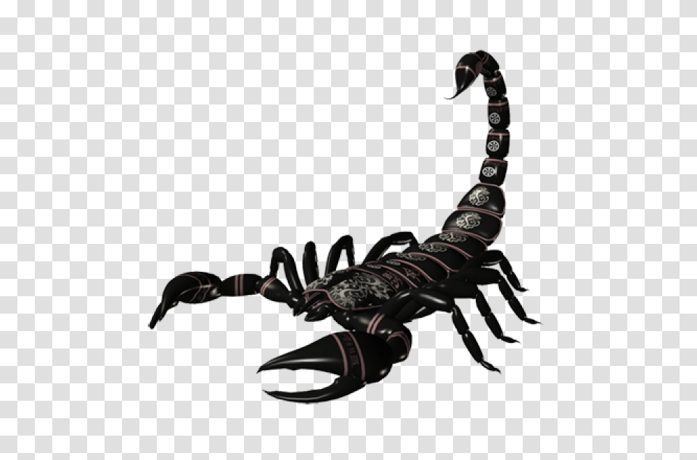 Scorpion Free Download, Invertebrate, Animal, Skin Transparent Png