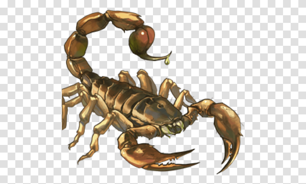 Scorpion Free Download Scorpion Pliers, Lobster, Seafood, Sea Life, Animal Transparent Png