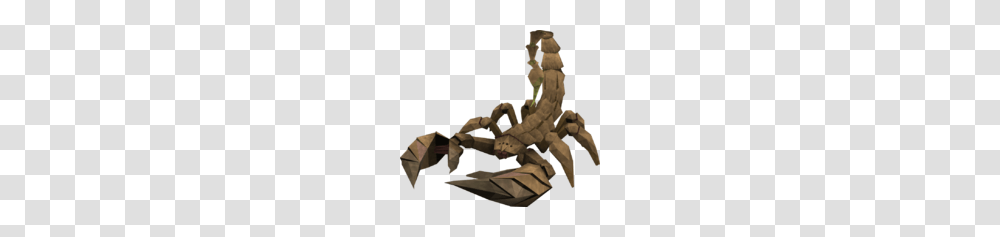 Scorpion, Hook, Claw Transparent Png