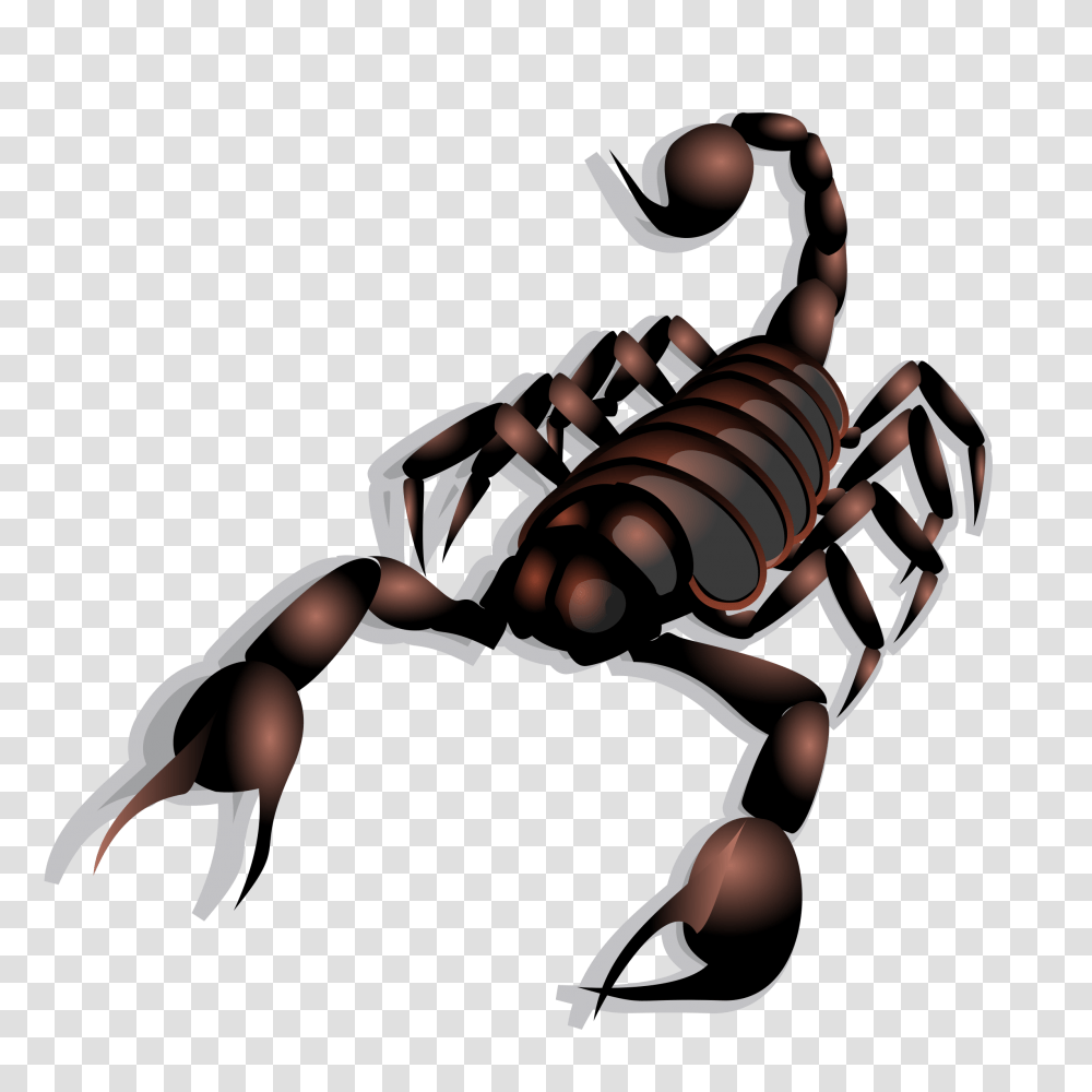 Scorpion Icons, Invertebrate, Animal, Person, Human Transparent Png