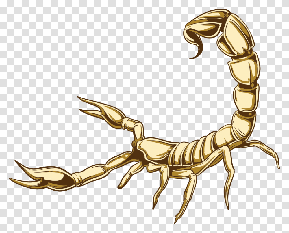 Scorpion Illustration, Invertebrate, Animal, Gold Transparent Png