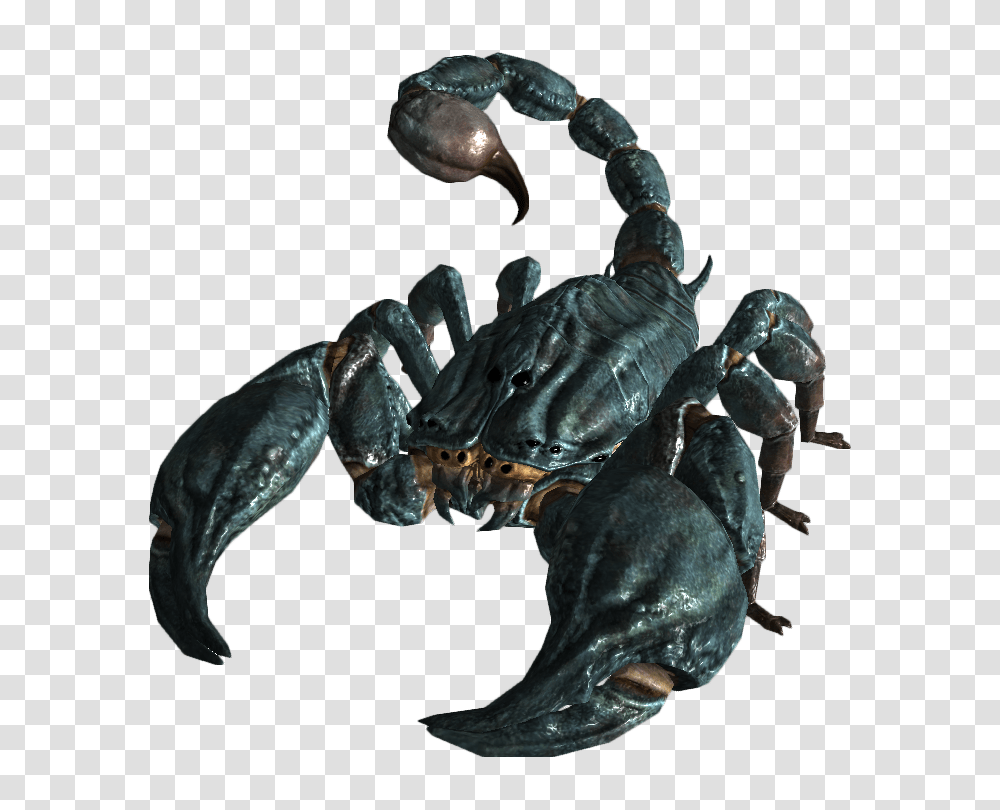 Scorpion, Insect, Animal, Invertebrate, Horse Transparent Png