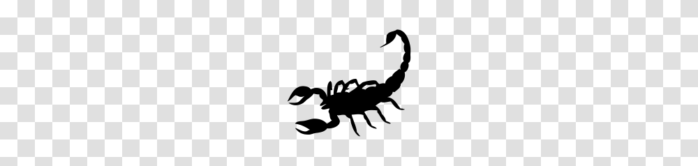 Scorpion, Insect, Gray, World Of Warcraft Transparent Png