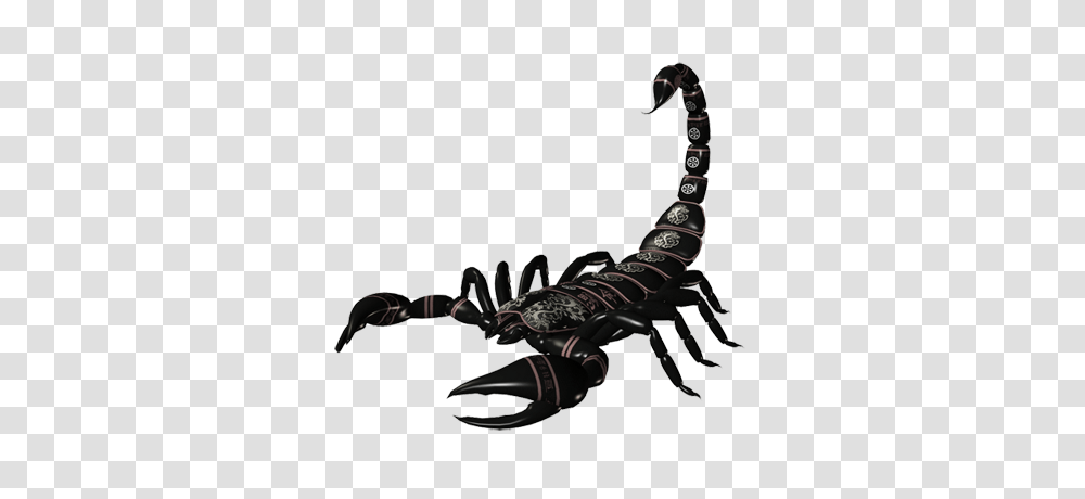 Scorpion, Insect, Invertebrate, Animal Transparent Png