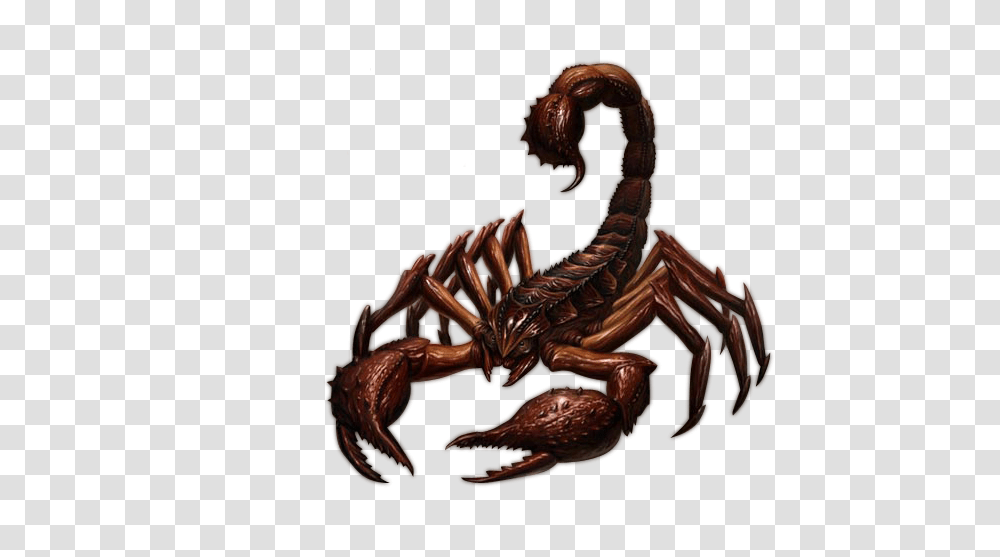 Scorpion, Insect, Painting, Dragon Transparent Png
