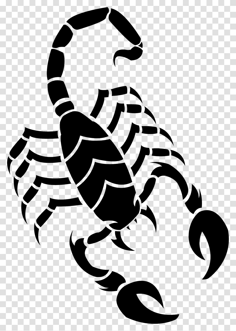 Scorpion, Insect, Spider Web, Person, Human Transparent Png
