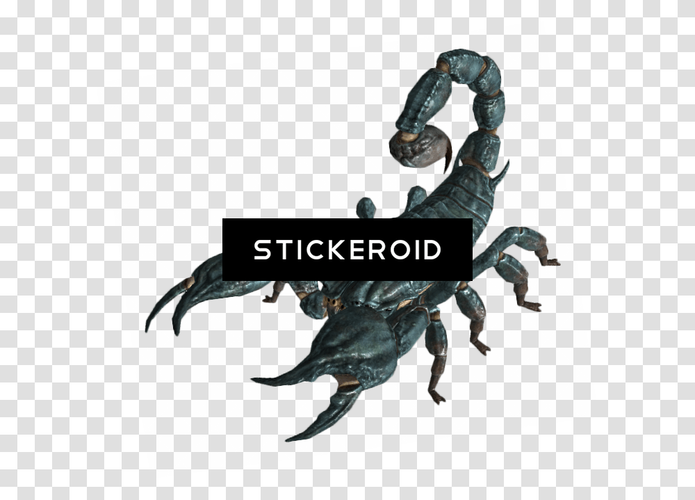 Scorpion Insects Scorpions, Hook, Dog, Pet, Canine Transparent Png