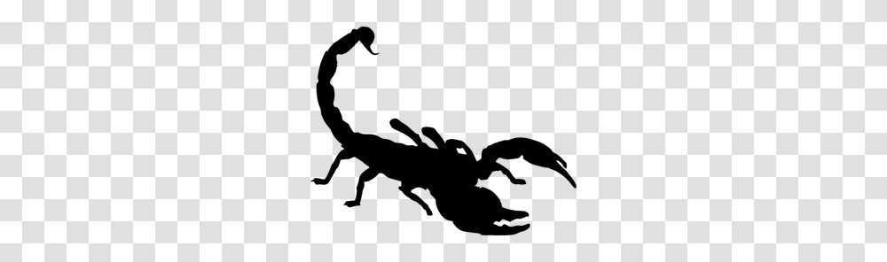 Scorpion Photos Clip Art, Gray, World Of Warcraft Transparent Png