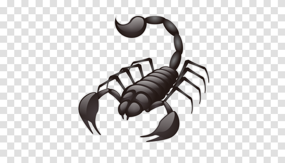 Scorpion Photos, Invertebrate, Animal, Hook, Claw Transparent Png