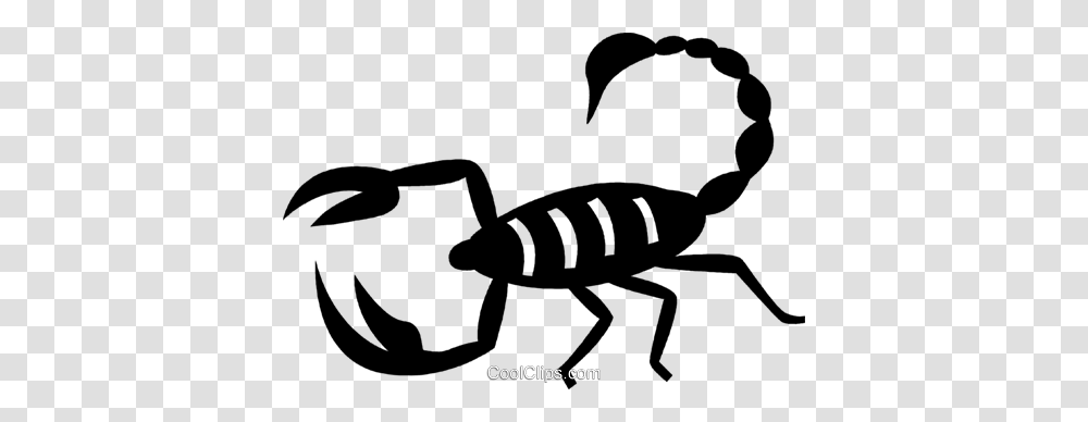 Scorpion Royalty Free Vector Clip Art Illustration, Invertebrate, Animal, Insect, Bird Transparent Png