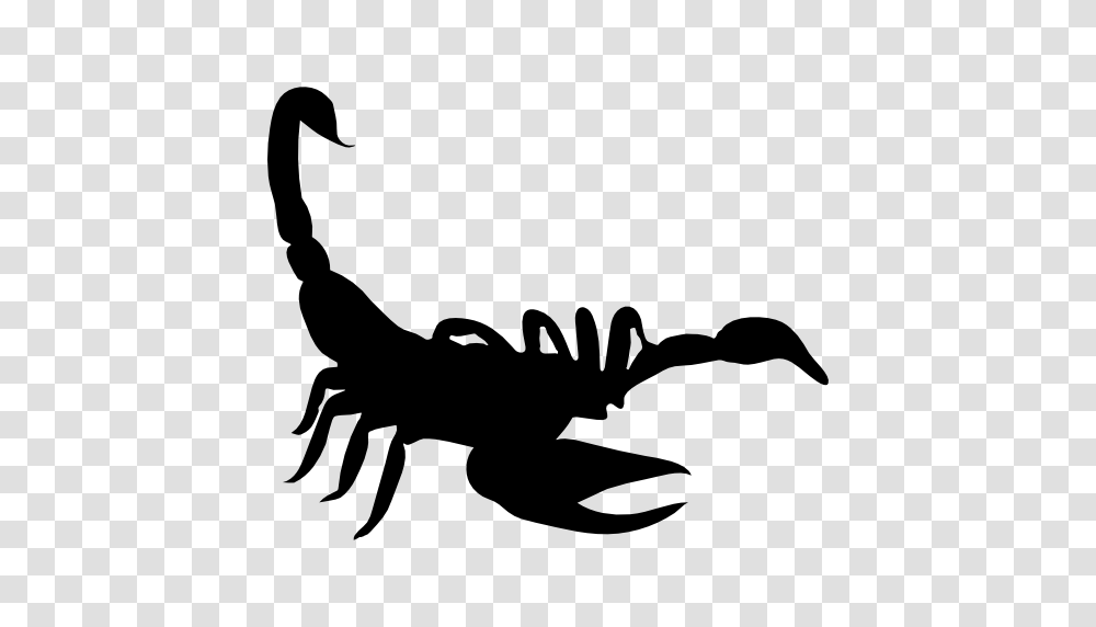 Scorpion Shape, Stencil, Silhouette, Animal, Person Transparent Png
