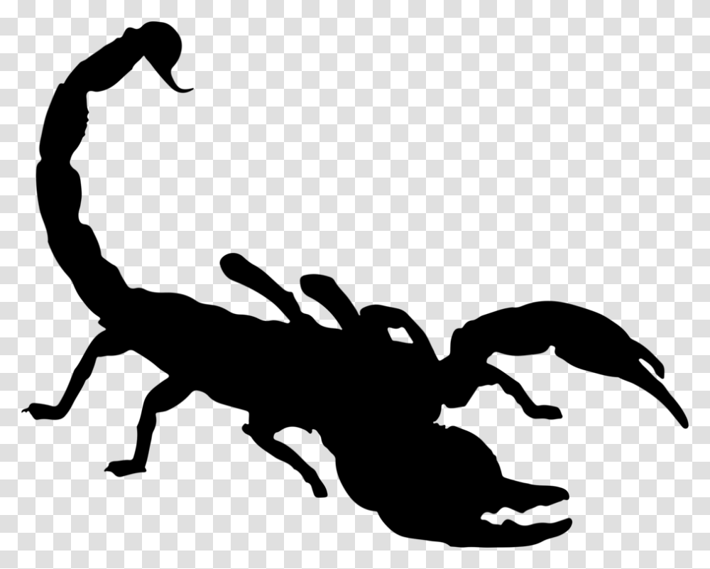 Scorpion Silhouette Drawing Download, Gray, World Of Warcraft Transparent Png