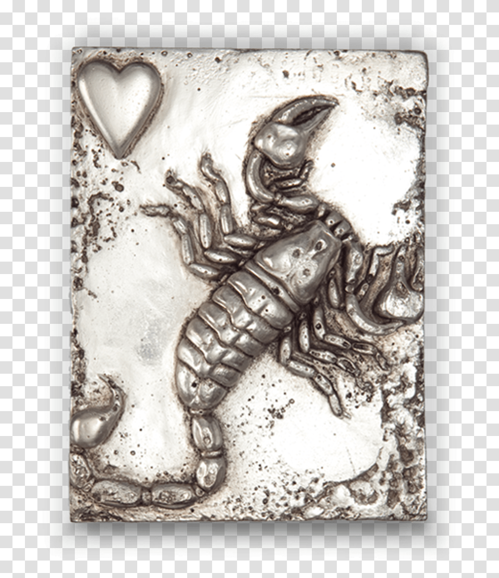 Scorpion, Soil, Fossil, Archaeology, Invertebrate Transparent Png
