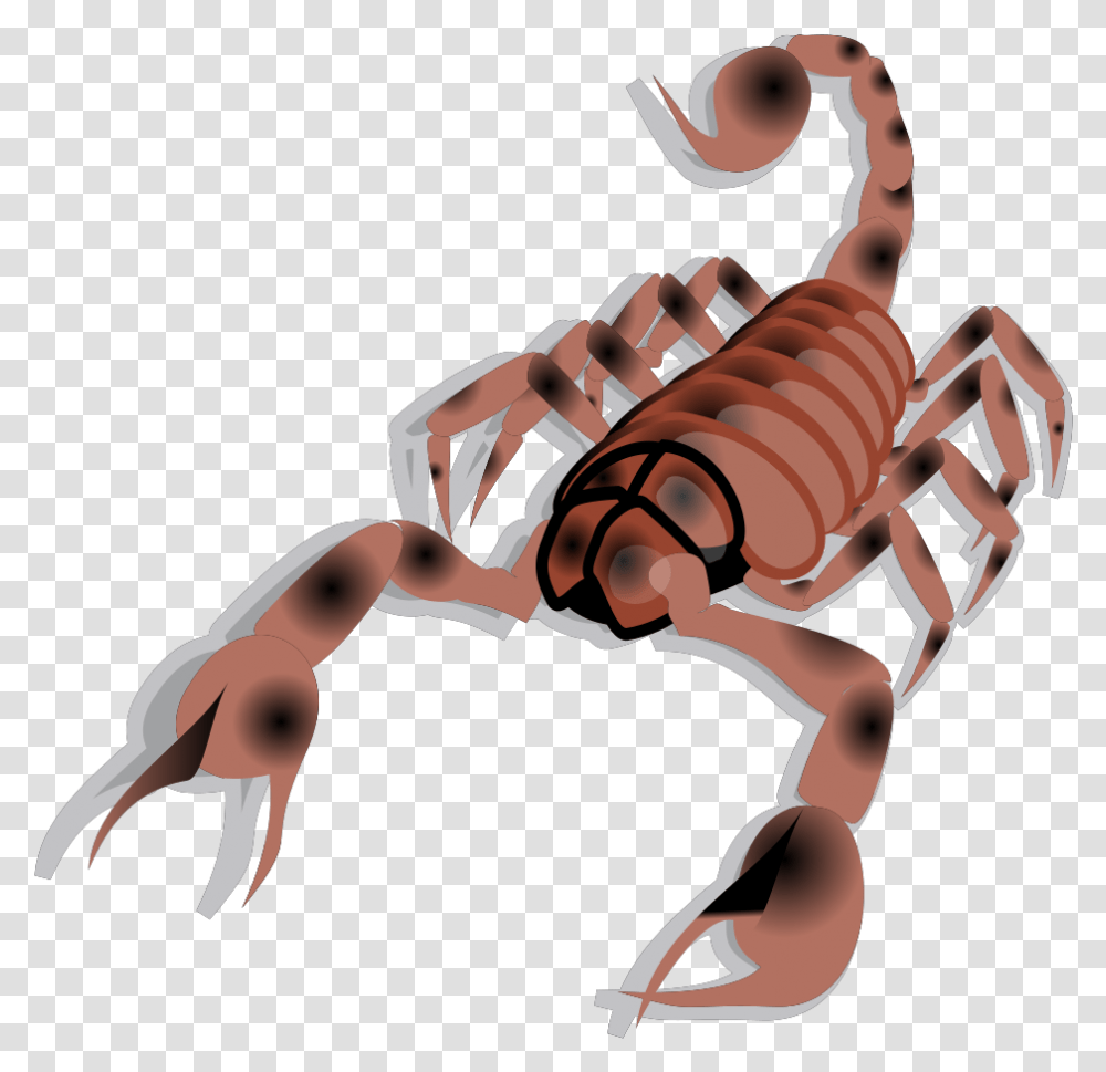 Scorpion Svg Clip Arts Scorpion, Invertebrate, Animal, Person, Human Transparent Png
