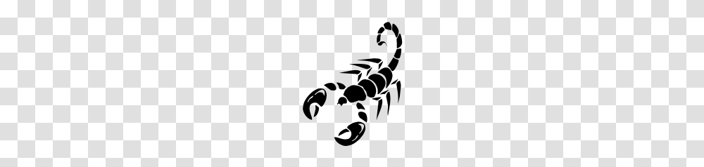 Scorpion Vector, Insect, Gray, World Of Warcraft Transparent Png