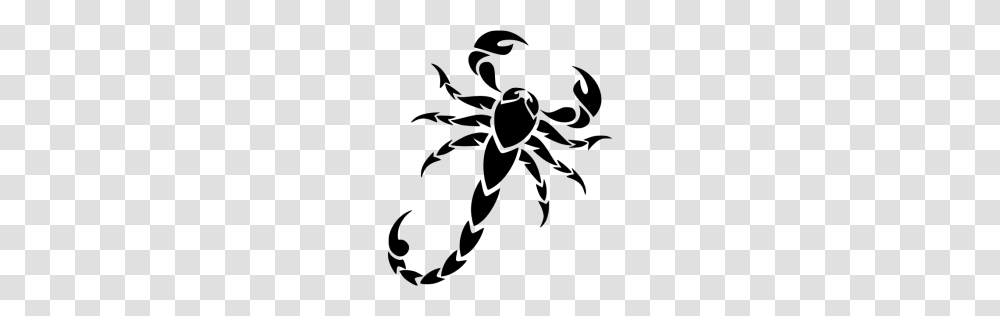 Scorpion Xxl, Insect, Gray, World Of Warcraft Transparent Png