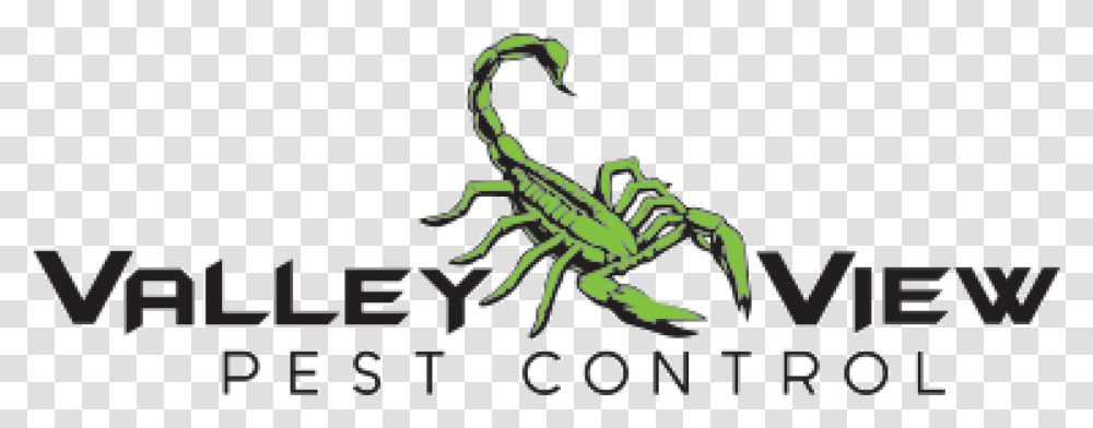 Scorpions Valley View Pest Control We The Best Music Group, Animal, Invertebrate Transparent Png
