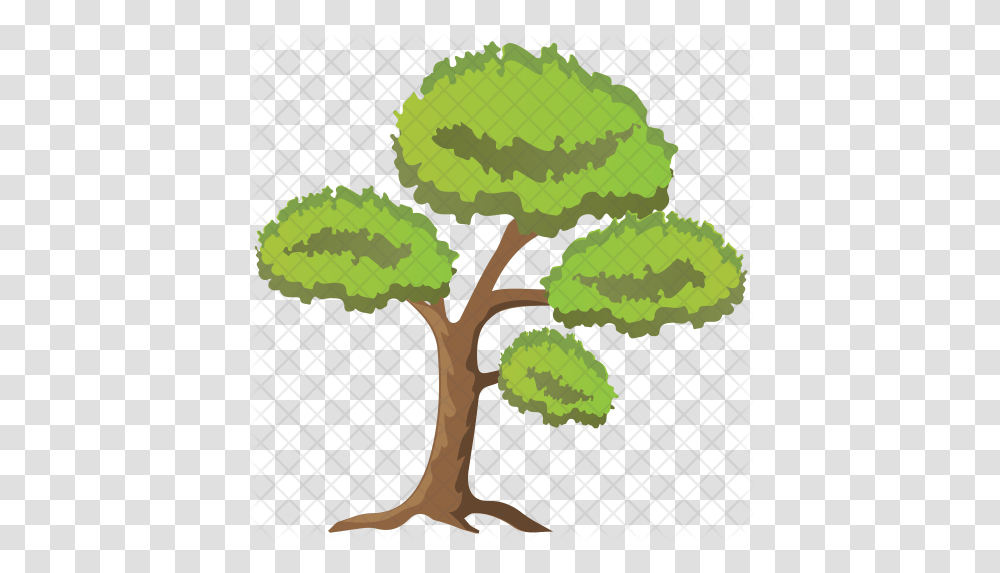 Scots Pine Tree Icon Gambel Oak, Plant, Produce, Food, Guitar Transparent Png