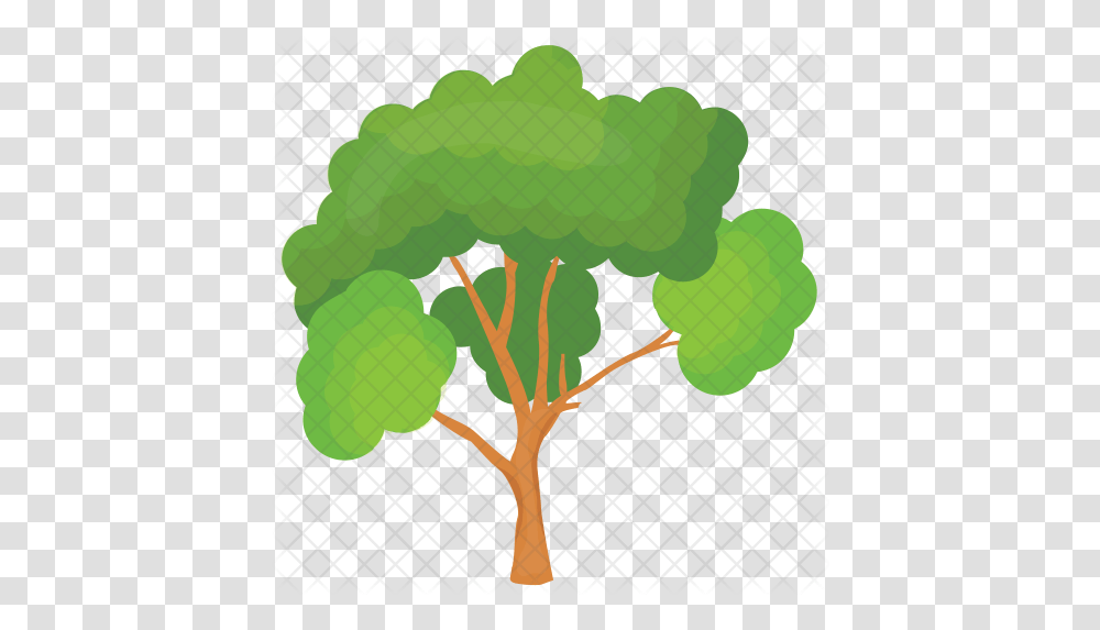 Scots Pine Tree Icon Maidenhair Tree, Plant, Produce, Food, Vegetable Transparent Png