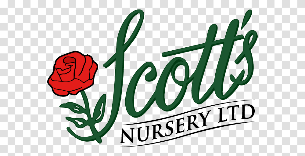 Scott's Nursery Scott's Nursery, Alphabet, Plant, Scissors Transparent Png