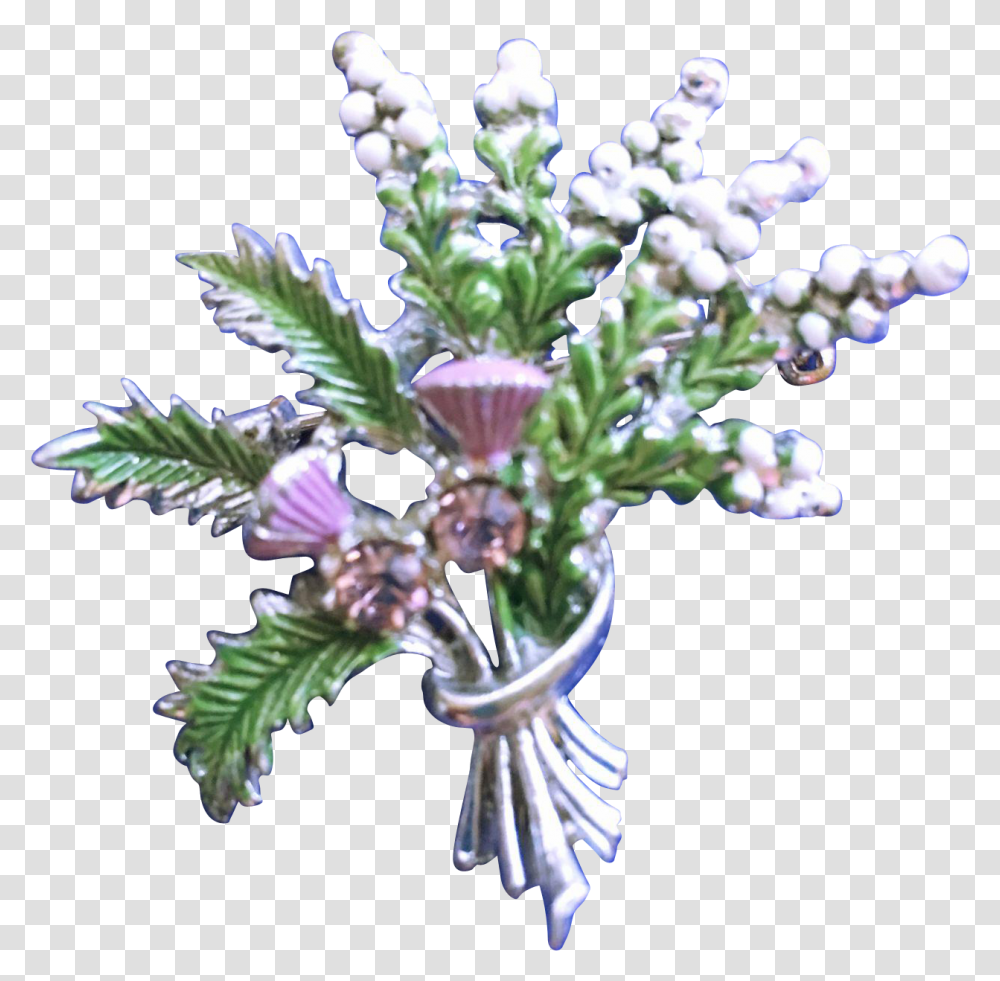 Scottish Heather Bouquet, Pattern, Plant, Tree, Flower Transparent Png