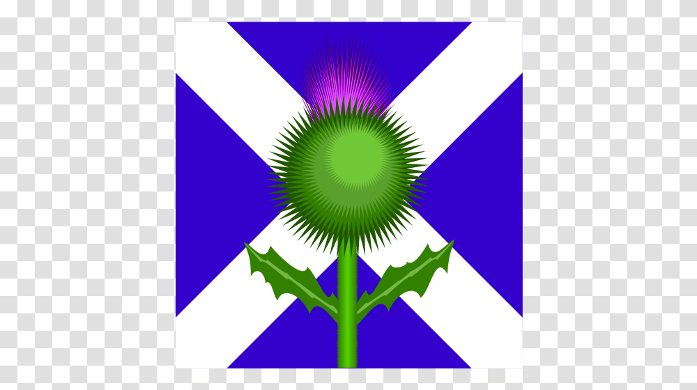 Scottish Thistle And Flag Scotland Flag And Thistle, Plant, Flower, Blossom Transparent Png