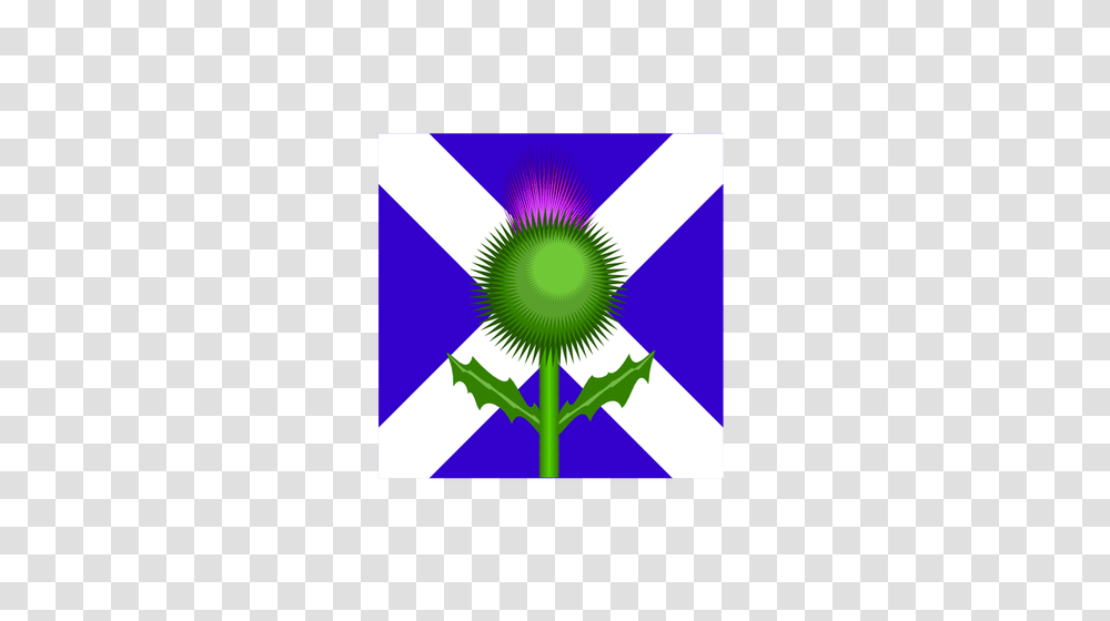 Scottish Thistle And Flag Vector Image, American Flag, Plant, Flower Transparent Png