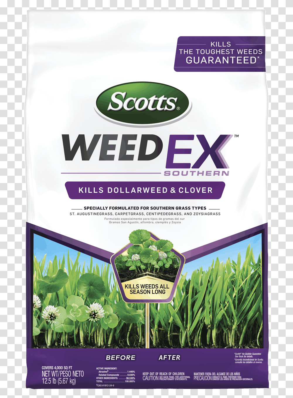 Scotts, Plant, Poster, Advertisement, Flyer Transparent Png