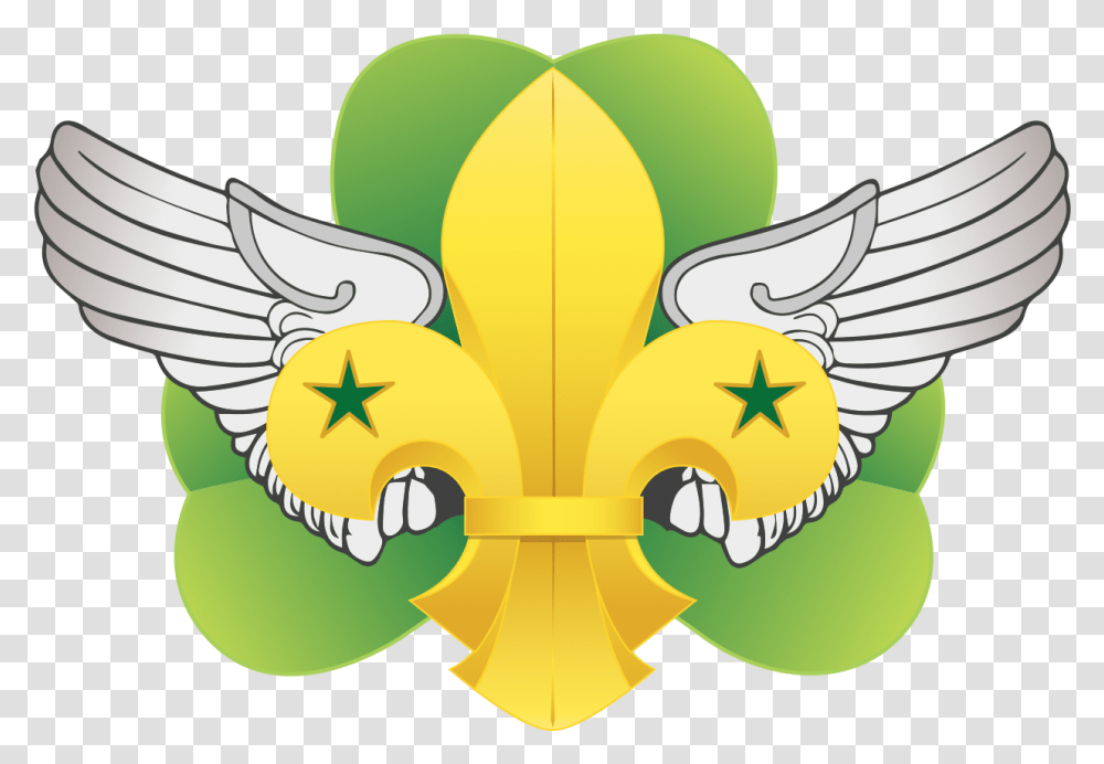 Scouting, Plant, Flower Transparent Png