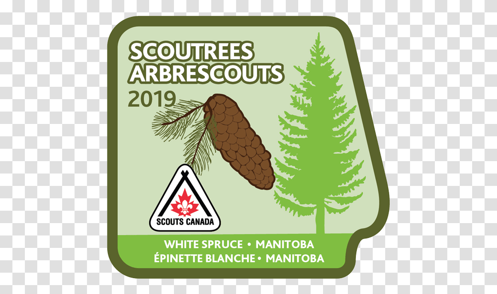 Scouts Canada, Label, Plant, Vegetation Transparent Png