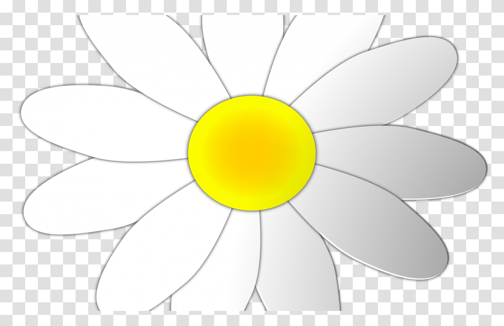 Scouts Clip Art Hot Trending Now, Plant, Daisy, Flower, Daisies Transparent Png