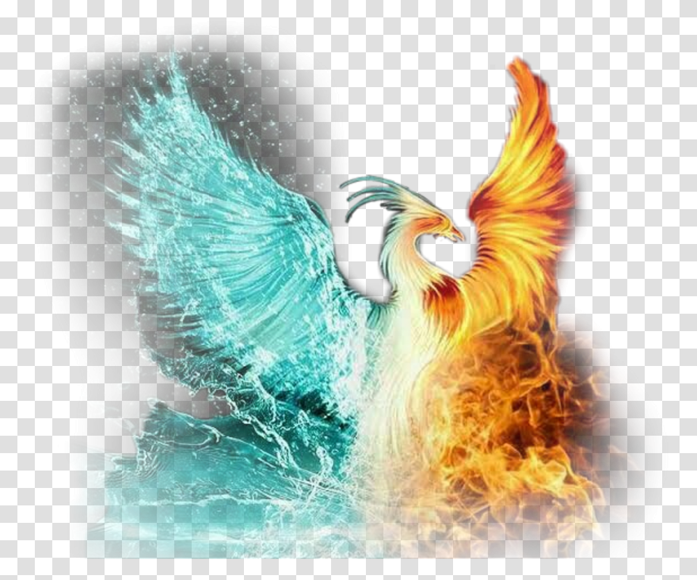 Scphoenix Phoenix Ice Fire Iceandfire Flame Fire Phoenix Fire Blue And Red, Bonfire, Angel, Archangel Transparent Png